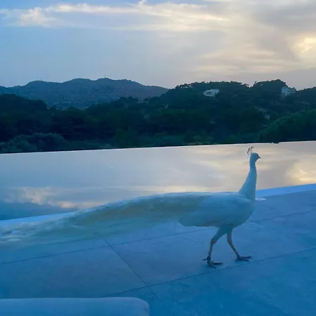 酒店 Ano Kampos 法里拉基