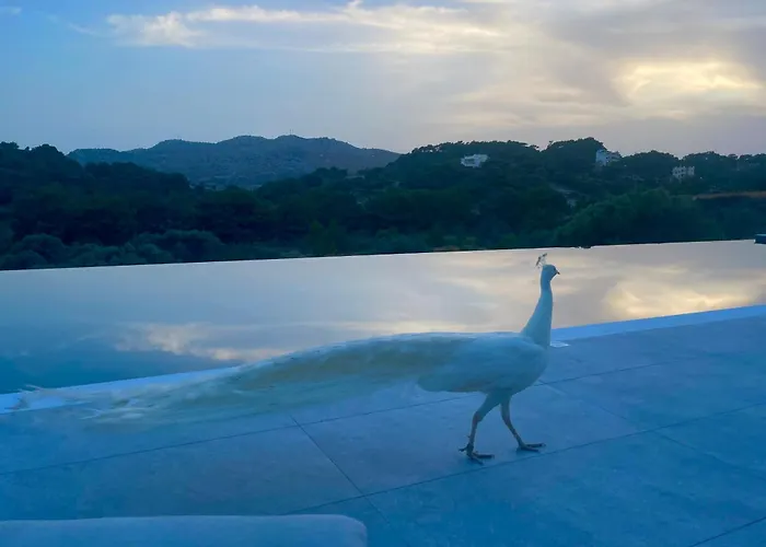 酒店 Ano Kampos 法里拉基